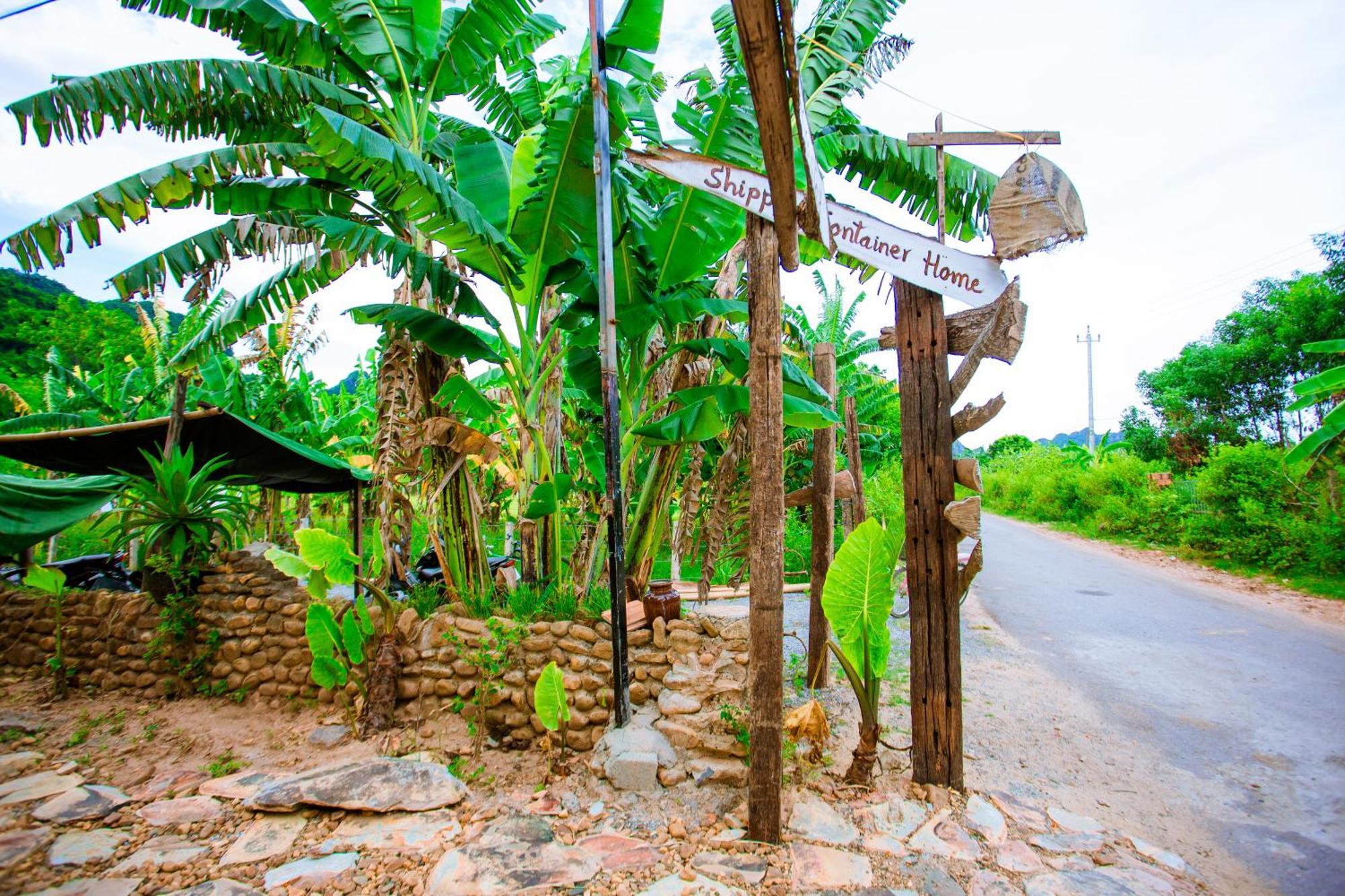 Phong Nha A Little Leaf Homestay Buitenkant foto