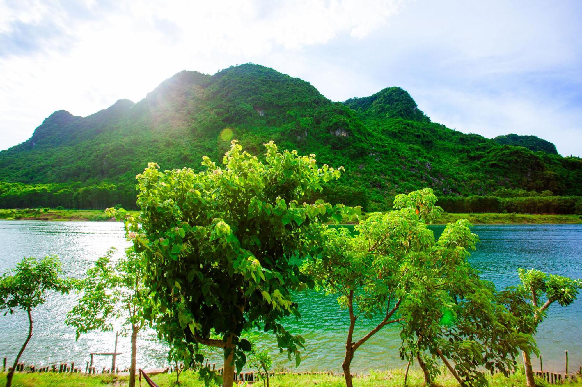 Phong Nha A Little Leaf Homestay Buitenkant foto