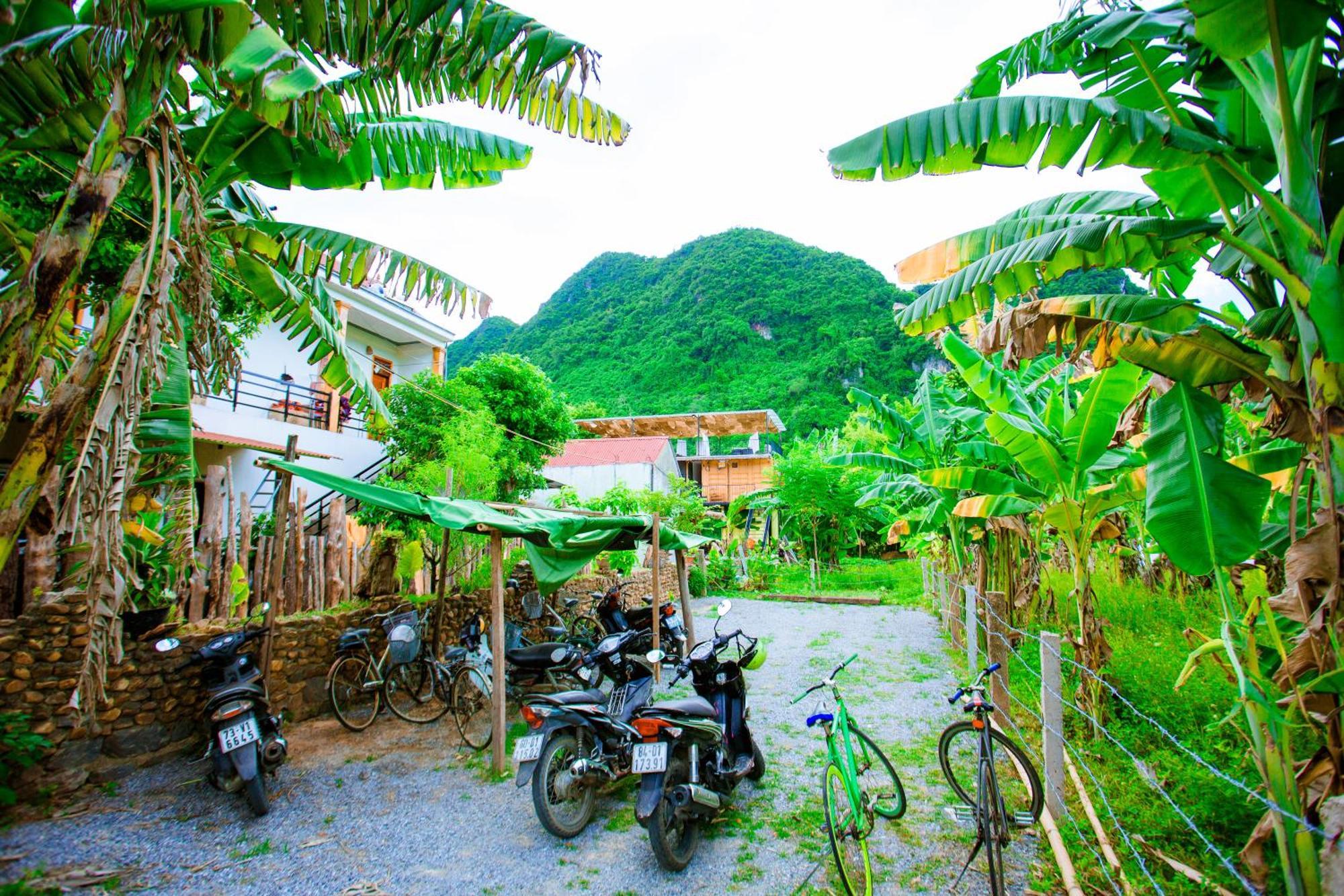 Phong Nha A Little Leaf Homestay Buitenkant foto