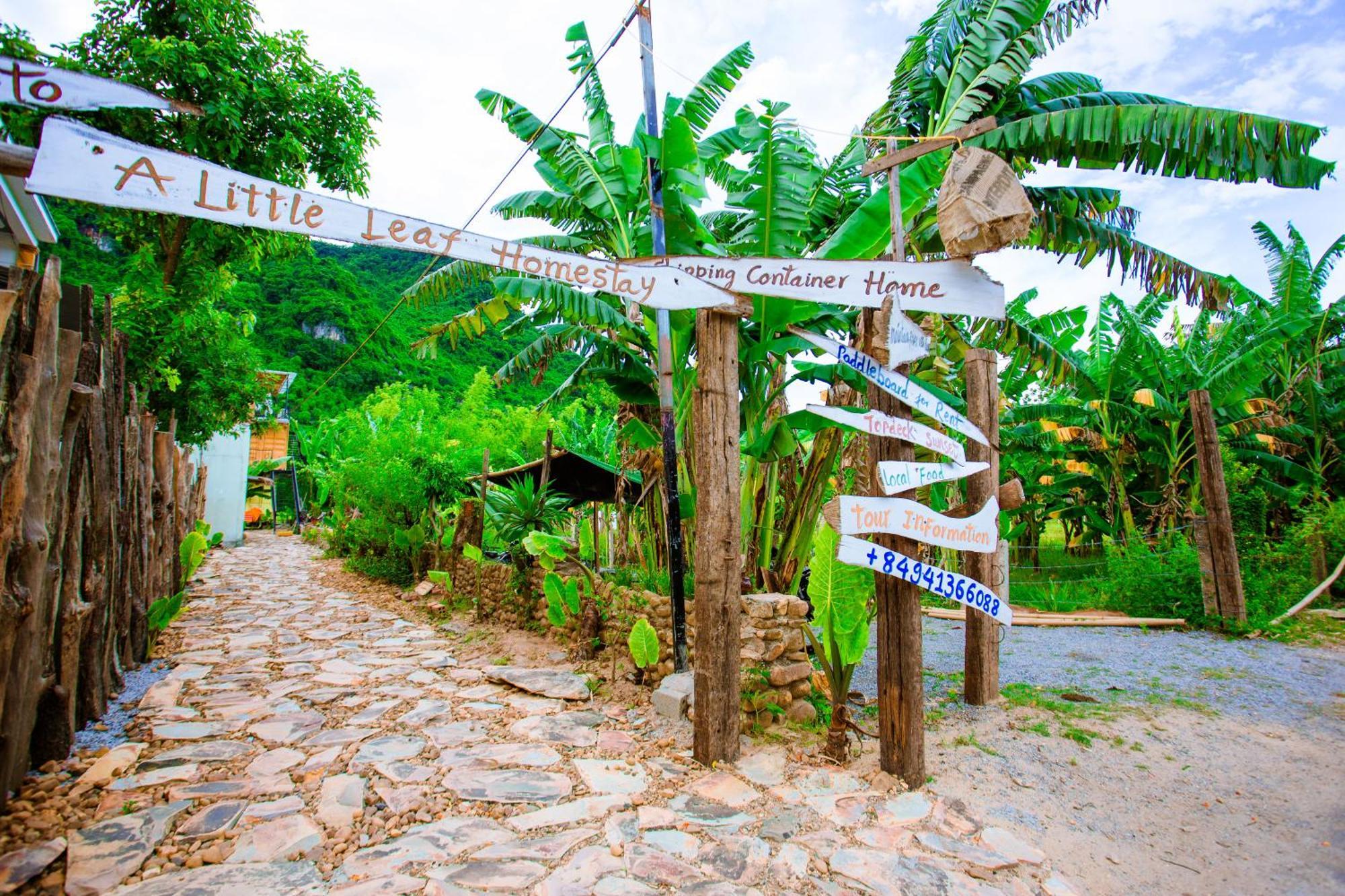 Phong Nha A Little Leaf Homestay Buitenkant foto